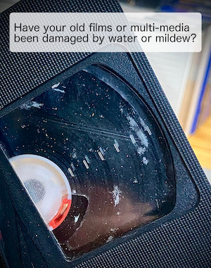 mildew damage alert box